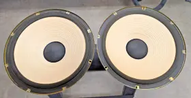 EAS-38PL40D-T TECHNICS Speaker
