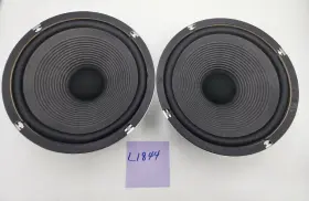 SASS25PL02-F TECHNICS Woofer Parting SASS25PL02-F TECHNICS Woofer Parting