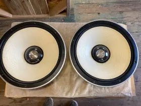SASS38PL01-T TECHNICS Woofer SASS38PL01-T TECHNICS Woofer