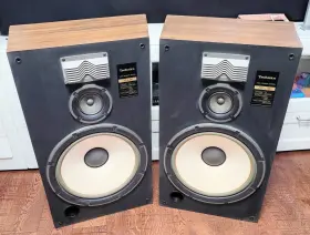 SBL96 TECHNICS Stereo Floor Speakers Woofer