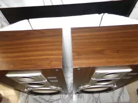 SP1000 TECHNICS Floor Speakers #2