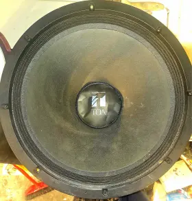 818803 TOA Driver Subwoofer Pro Audio Pa Speaker