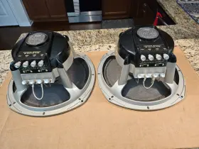 C-12SWW UNIVERSITY Dual Voice Coil Woofers Immaculate