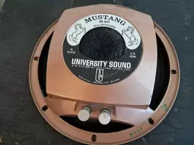M-8D UNIVERSITY SOUND Mustang Fi Speaker #2