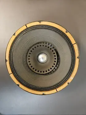 UC-122 UNIVERSITY Amplifier Speaker Ray Butts Echosonic