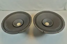D12P UTAH Dual Cone Woofer