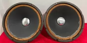 V15RC19 UTAH Woofers V15RC19 UTAH Woofers