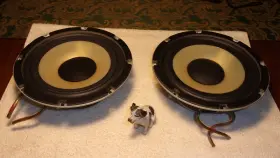 CPT8 WATKINS / INFINITY Woofers Poly Cone
