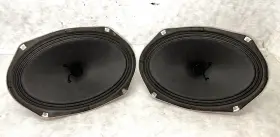 49-1169 ZENITH Roland Woofers Clean