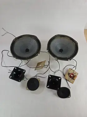 C939 ZENITH Phonograph Speakers