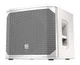 EV Electro-Voice ELX200-12SP 12" 1200W Powered Subwoofer Sub White EV Electro-Voice ELX200-12SP 12" 1200W Powered Subwoofer Sub White