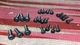 OEM AR-2AX speaker screw set