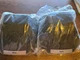RCA SP1305 Satellite Speakers Pair NOS New Old Stock Wall Mount Home Audio 8Ω RCA SP1305 Satellite Speakers Pair NOS New Old Stock Wall Mount Home Audio 8Ω