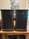 Vintage Rare Sansui SF-2 Omni-Radial Stereo Table Top Speakers Japan Working