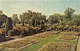 Oxford Ohio 1960s Postcard Miami University Formal Gardens Oxford Ohio 1960s Postcard Miami University Formal Gardens