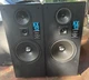 DCM KX-12 Series Two Speaker - TW0 12” Woofer Speakers, 250 Watts Per Speaker DCM KX-12 Series Two Speaker - TW0 12” Woofer Speakers, 250 Watts Per Speaker