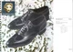 RARE 1960s Florsheim Bradley Lot 92315 & MTO Wingtip Balmoral Oxford Shoes 9.5 B RARE 1960s Florsheim Bradley Lot 92315 & MTO Wingtip Balmoral Oxford Shoes 9.5 B