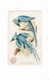 1898 (J2) #46 Columbia Magpie, Arm & Hammer New Series Bea Birds, Large Size 2nd