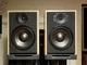 RSL CG-8a Speakers Vintage Bookshelf Speakers Rare Bleached Wood Color