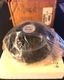 JBL 2416H-1 High Frequency Driver "New Old Stock" JBL 2416H-1 High Frequency Driver "New Old Stock"