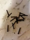  Sansui SP-1500 mounting screws 16 piece