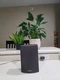 Onkyo SKB-530 Surround Back Right Speaker - One Speaker