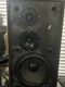 Bang & Olufsen Beovox S45 pair bundled with 5 foot speaker cable Bang & Olufsen Beovox S45 pair bundled with 5 foot speaker cable