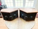 Pair of Bose 901 Series V  Speakers Made in USA