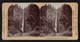 Photo:Multnomah Falls Columbia River Oregon 1898 Keystone View Stereoview