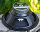 Carvin PS12 Pro Series 12" 300 watt 8 ohm Loudspeaker Driver Made in USA Carvin PS12 Pro Series 12" 300 watt 8 ohm Loudspeaker Driver Made in USA
