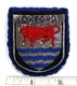 Vintage Oxford England Coat of Arms Ox Jacket Patch Badge United Kingdom 1960's Vintage Oxford England Coat of Arms Ox Jacket Patch Badge United Kingdom 1960's
