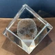 Laser Etched Engraved 3D Cube Skull Glass Paperweight 1 1/2" Laser Etched Engraved 3D Cube Skull Glass Paperweight 1 1/2"