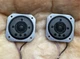 Yamaha JA-0513 Tweeters Pair Beryllium Dome NS-1000M Used Japan Yamaha JA-0513 Tweeters Pair Beryllium Dome NS-1000M Used Japan