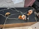 Polk Monitor 4.6 crossovers BE4500-A