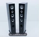 Pinnacle BD-1000 Standing Speaker