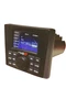 Cerwin-Vega CMR3 All-Weather Audio Player/Receiver with 3" TFT Color Screen Open Cerwin-Vega CMR3 All-Weather Audio Player/Receiver with 3" TFT Color Screen Open