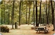 Picnic Area at Hueston Woods State Park Oxford Ohio 1960s Chrome Postcard Photo Picnic Area at Hueston Woods State Park Oxford Ohio 1960s Chrome Postcard Photo