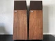 Vintage Ohm Walsh 2 - Speaker of The Year In 1982 - Fully Tested And Work Great