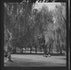 Photo:Butte Montana 1898 Columbia Gardens Outdoor Amusement Resort Park