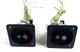 JBL TLX 151, TLX161, TLX171, TLX181 Speaker Pair Crossover Network/Terminal Cups JBL TLX 151, TLX161, TLX171, TLX181 Speaker Pair Crossover Network/Terminal Cups